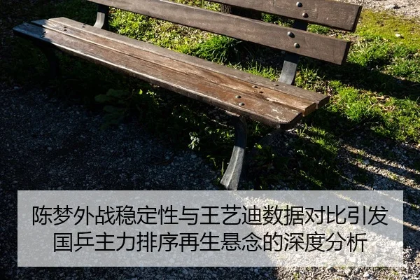陈梦外战稳定性与王艺迪数据对比引发国乒主力排序再生悬念的深度分析