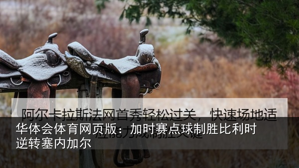 华体会体育网页版:加时赛点球制胜比利时逆转塞内加尔
