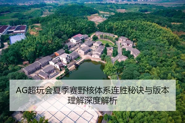 AG超玩会夏季赛野核体系连胜秘诀与版本理解深度解析