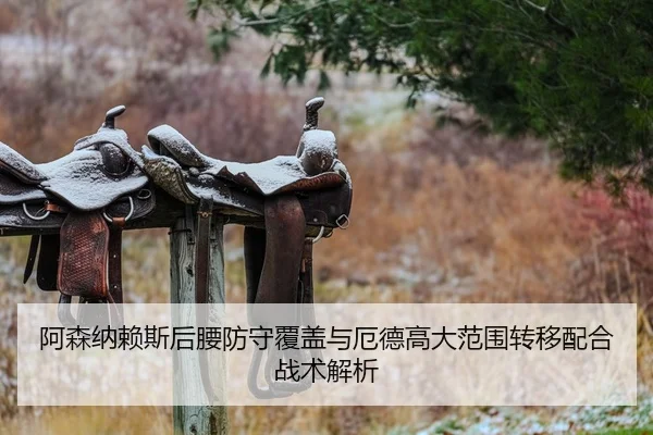 阿森纳赖斯后腰防守覆盖与厄德高大范围转移配合战术解析