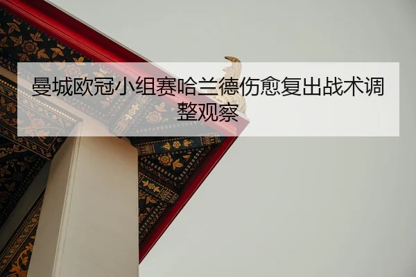 man-cheng-ou-guan-xiao-zu-sai-ha-lan-de-shang-yu-fu-chu-zhan-shu-tiao-zheng-guan-cha-2-347.jpg