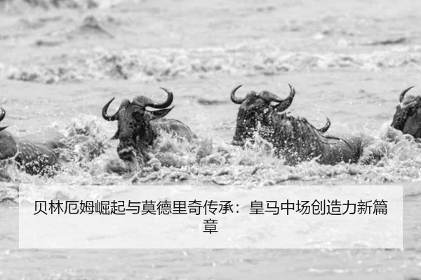 bei-lin-e-mu-jue-qi-yu-mo-de-li-qi-chuan-cheng-huang-ma-zhong-chang-chuang-zao-li-xin-pian-zhang-2-104.jpg