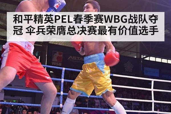 和平精英PEL春季赛WBG战队夺冠 伞兵荣膺总决赛最有价值选手