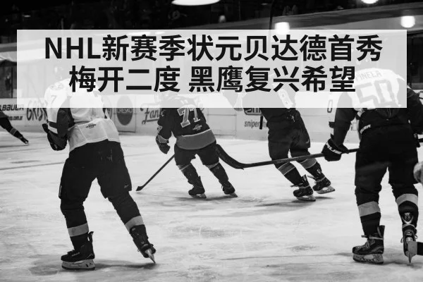 NHL新赛季状元贝达德首秀梅开二度 黑鹰复兴希望